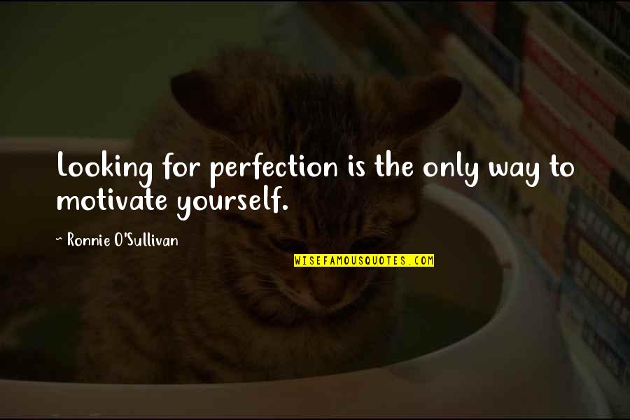 Money Clips Quotes By Ronnie O'Sullivan: Looking for perfection is the only way to