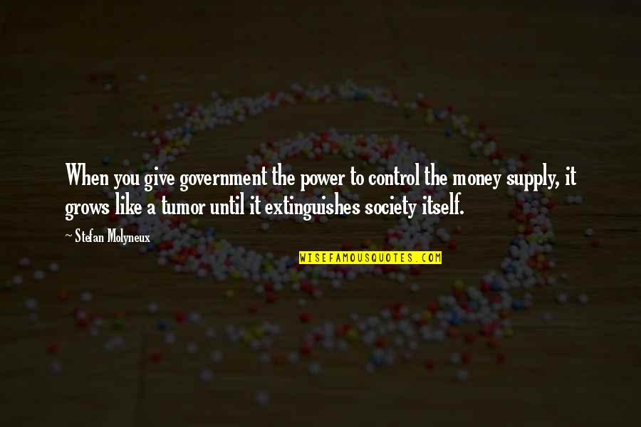 Money Control Quotes By Stefan Molyneux: When you give government the power to control Money Control Quotes By Stefan Molyneux: When you give government the power to control
