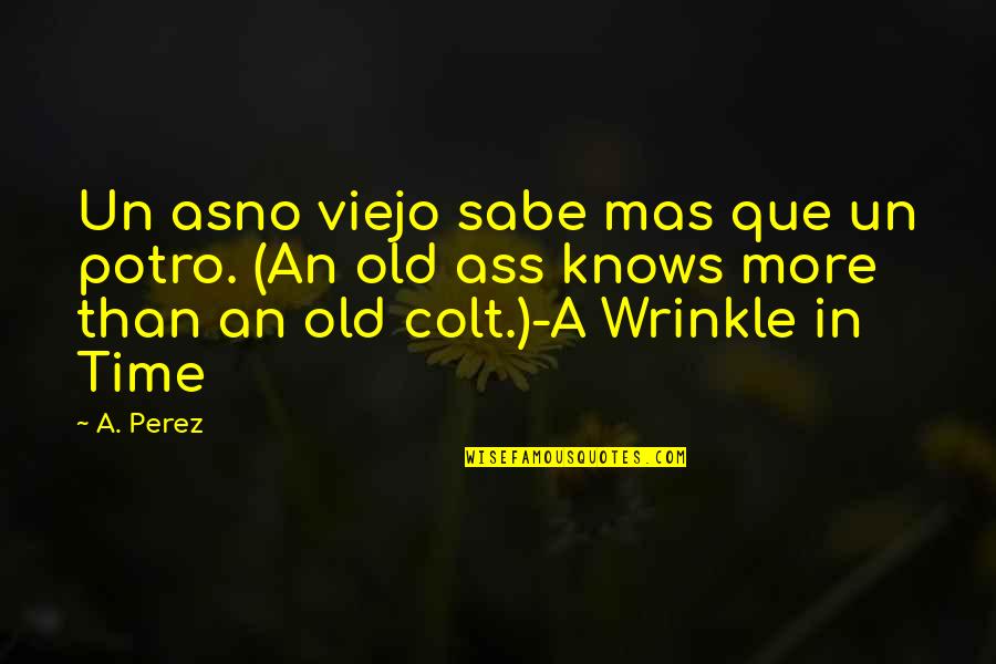 Money From A Raisin In The Sun Quotes By A. Perez: Un asno viejo sabe mas que un potro.