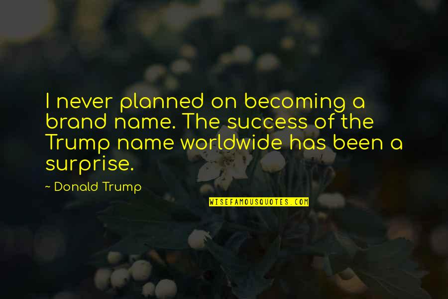 Money Hungry Hoes Quotes By Donald Trump: I never planned on becoming a brand name.