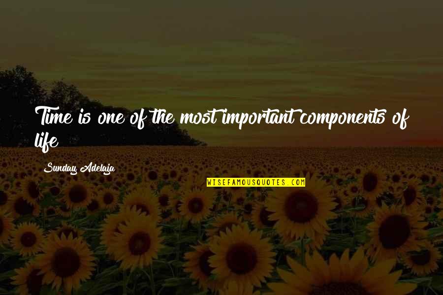Money Importance In Life Quotes By Sunday Adelaja: Time is one of the most important components Money Importance In Life Quotes By Sunday Adelaja: Time is one of the most important components