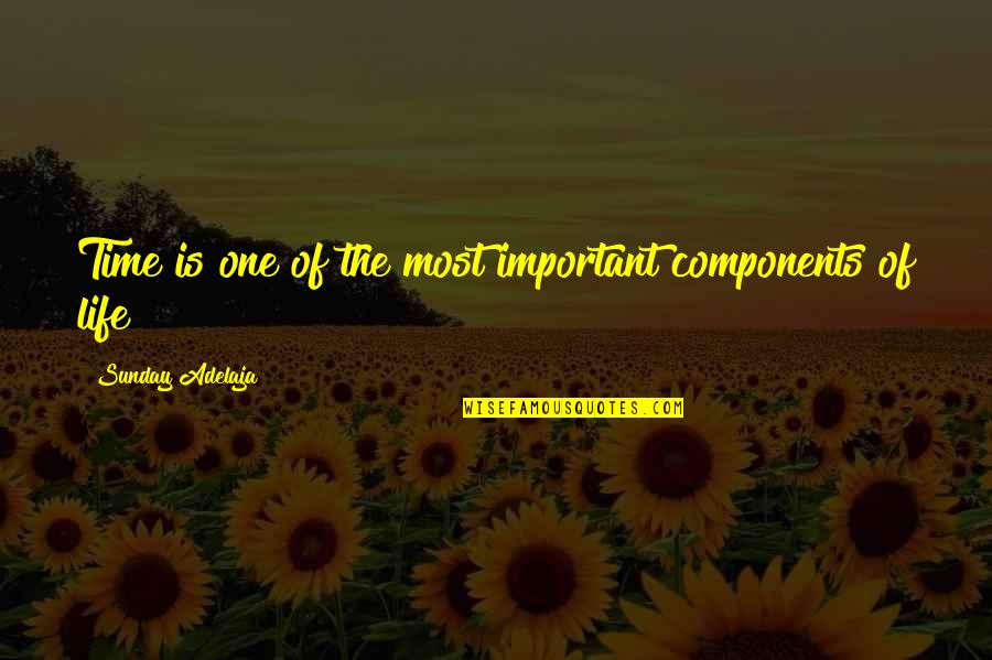 Money Importance Quotes By Sunday Adelaja: Time is one of the most important components Money Importance Quotes By Sunday Adelaja: Time is one of the most important components