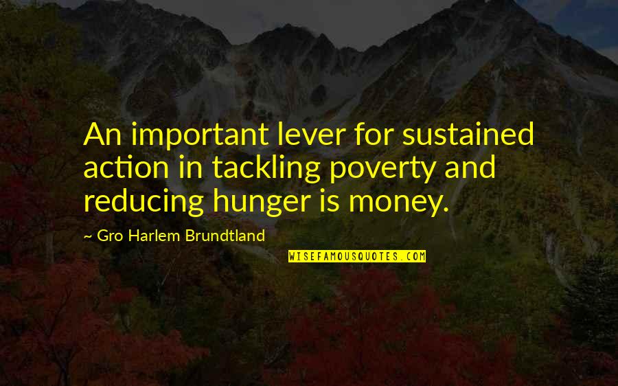 Money Is Important Quotes By Gro Harlem Brundtland: An important lever for sustained action in tackling