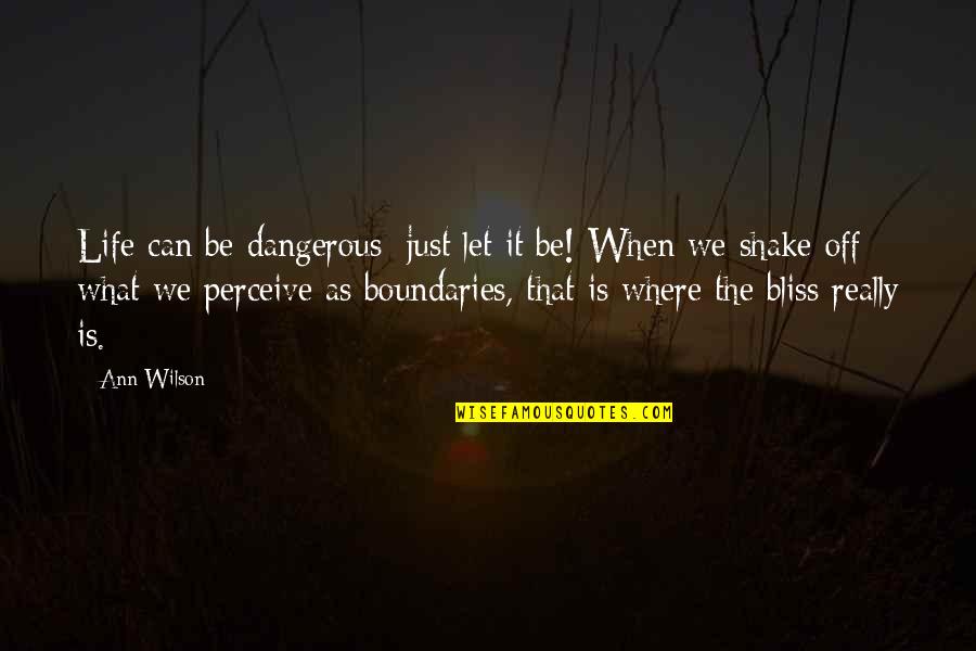 Money Is Just Quotes By Ann Wilson: Life can be dangerous; just let it be!