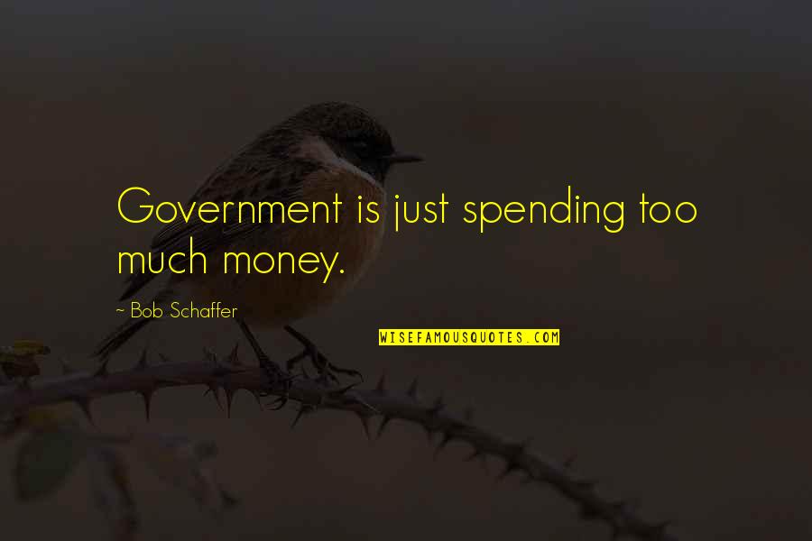Money Is Just Quotes By Bob Schaffer: Government is just spending too much money.