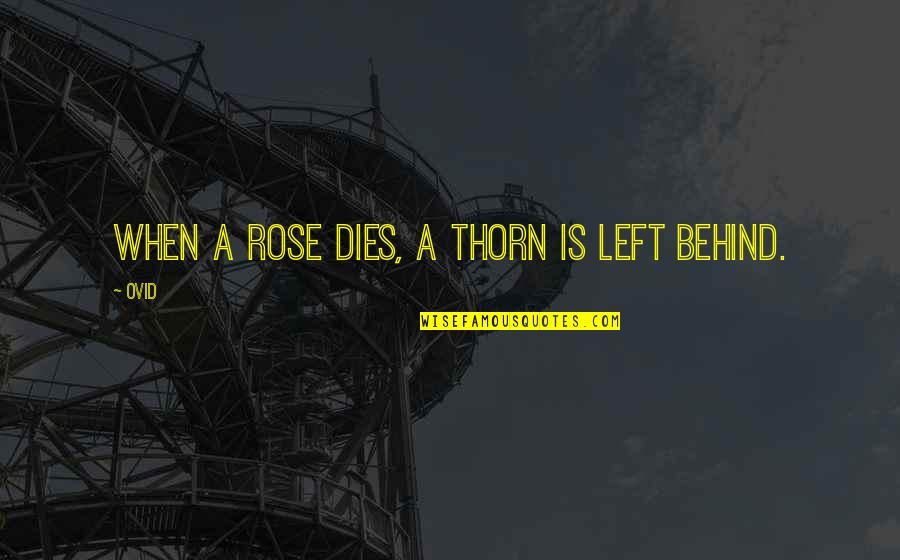 Money Making Motivation Quotes By Ovid: When a rose dies, a thorn is left