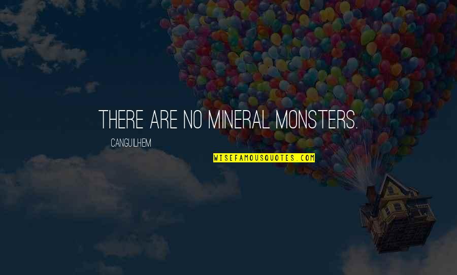 Money Manifestation Quotes By Canguilhem: There are no mineral monsters.
