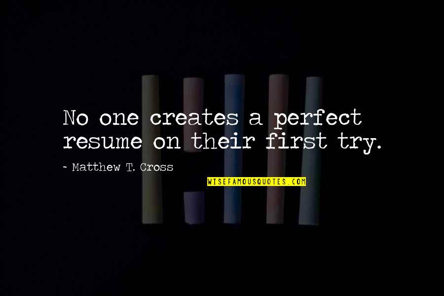 Money Matters In Love Quotes By Matthew T. Cross: No one creates a perfect resume on their