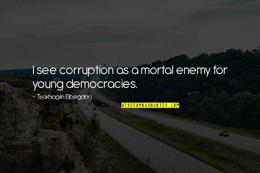 Money Related Quotes By Tsakhiagiin Elbegdorj: I see corruption as a mortal enemy for