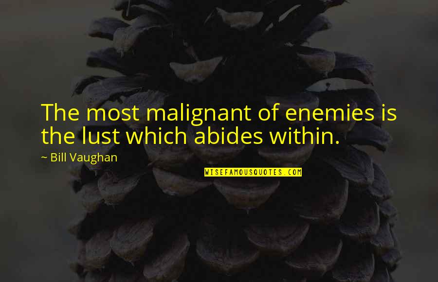 Moneybags Soda Quotes By Bill Vaughan: The most malignant of enemies is the lust