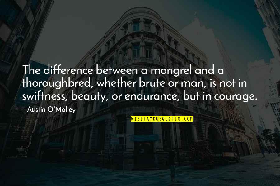 Mongrel Quotes By Austin O'Malley: The difference between a mongrel and a thoroughbred,