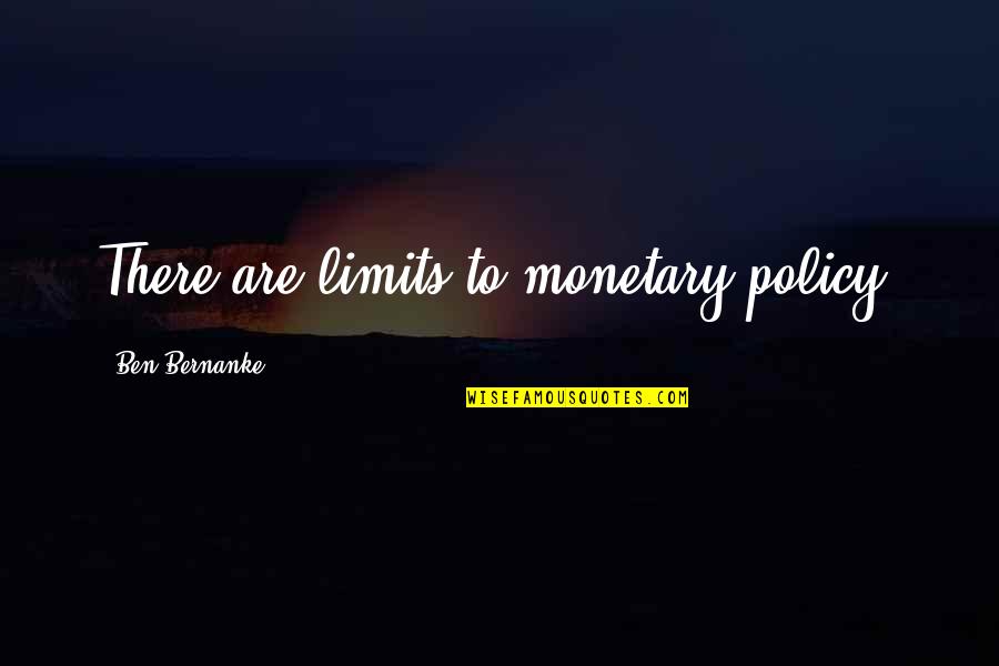 Monica And Rachel Quotes By Ben Bernanke: There are limits to monetary policy.