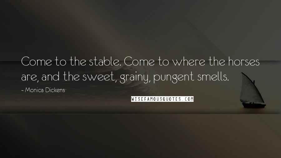 Monica Dickens quotes: Come to the stable. Come to where the horses are, and the sweet, grainy, pungent smells.