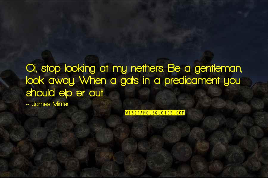 Monick Pipe Quotes By James Minter: Oi, stop looking at my nethers. Be a