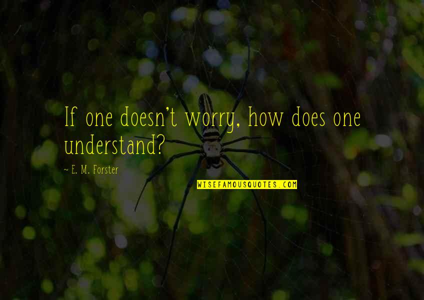 Monita Chon Quotes By E. M. Forster: If one doesn't worry, how does one understand? Monita Chon Quotes By E. M. Forster: If one doesn't worry, how does one understand?