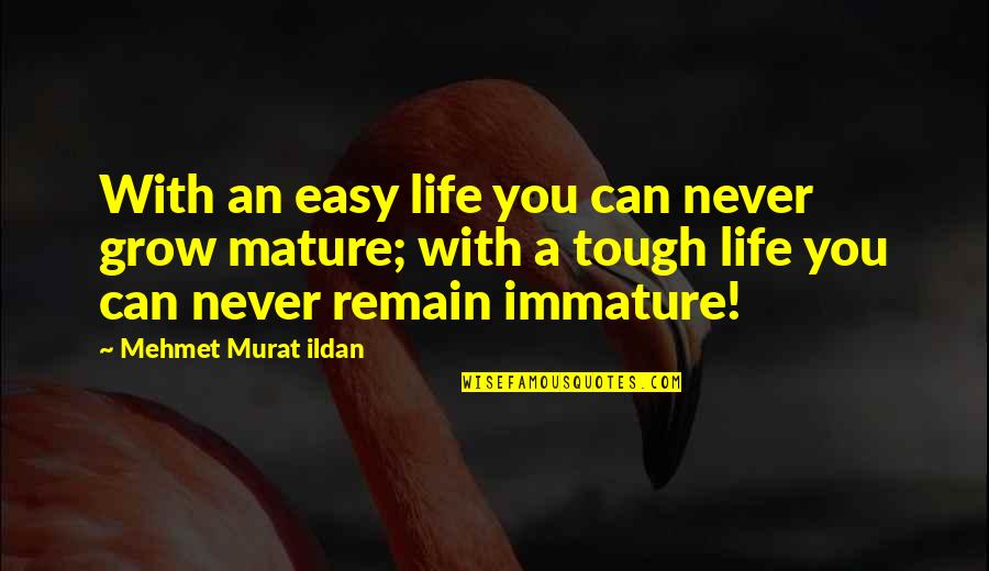 Moniz Upholstered Quotes By Mehmet Murat Ildan: With an easy life you can never grow