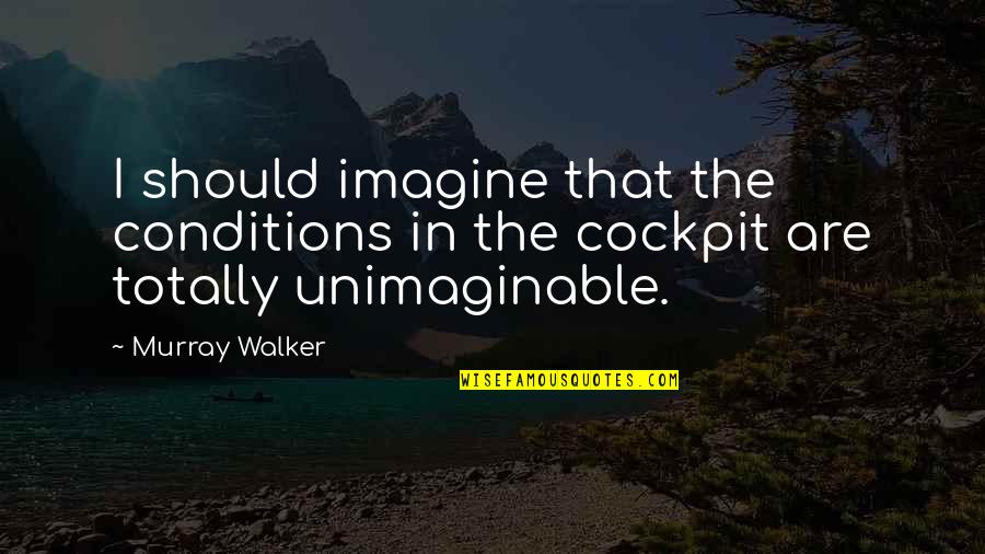 Monji Toy Quotes By Murray Walker: I should imagine that the conditions in the