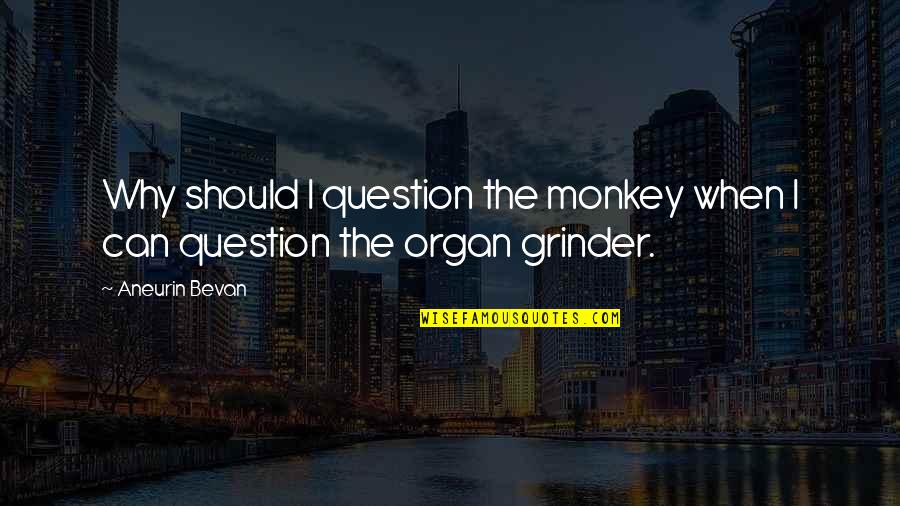 Monkeys Quotes By Aneurin Bevan: Why should I question the monkey when I