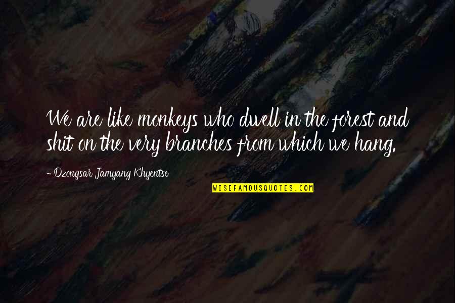Monkeys Quotes By Dzongsar Jamyang Khyentse: We are like monkeys who dwell in the