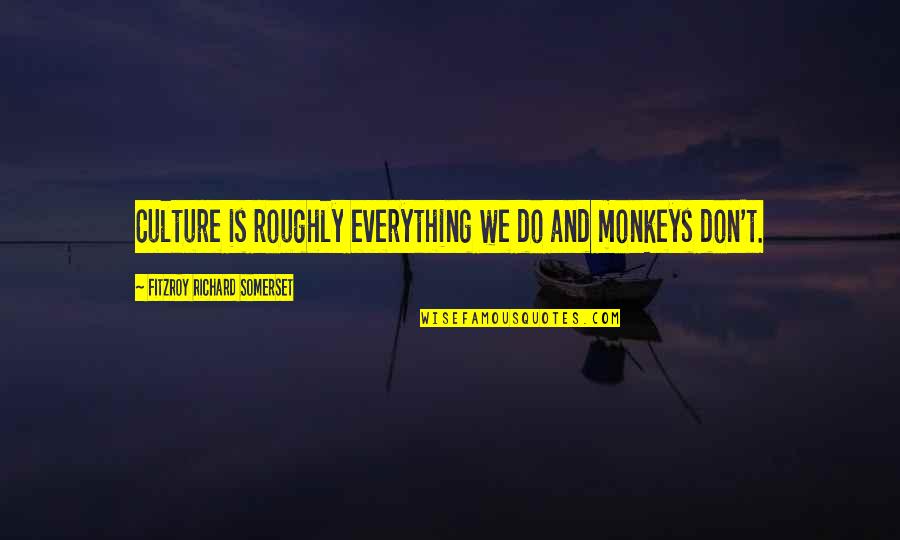 Monkeys Quotes By FitzRoy Richard Somerset: Culture is roughly everything we do and monkeys