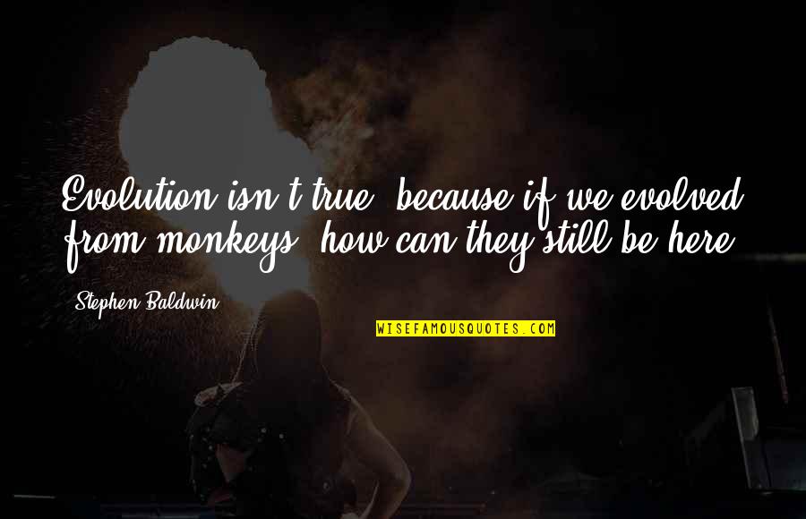 Monkeys Quotes By Stephen Baldwin: Evolution isn't true, because if we evolved from