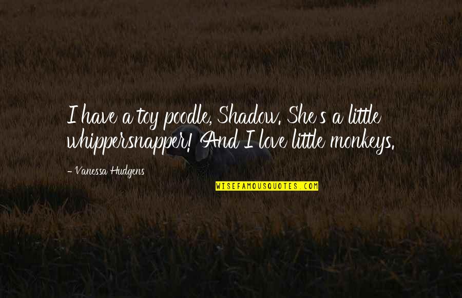 Monkeys Quotes By Vanessa Hudgens: I have a toy poodle, Shadow. She's a