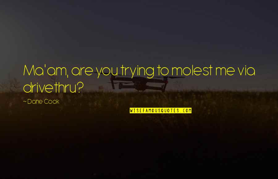 Monnet Quotes By Dane Cook: Ma'am, are you trying to molest me via
