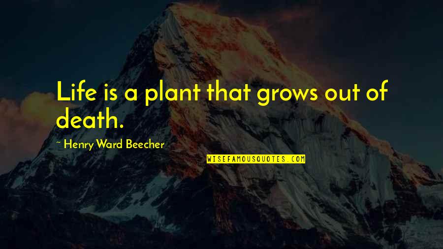 Monoculture Disadvantages Quotes By Henry Ward Beecher: Life is a plant that grows out of
