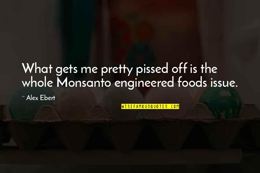 Monsanto Quotes By Alex Ebert: What gets me pretty pissed off is the