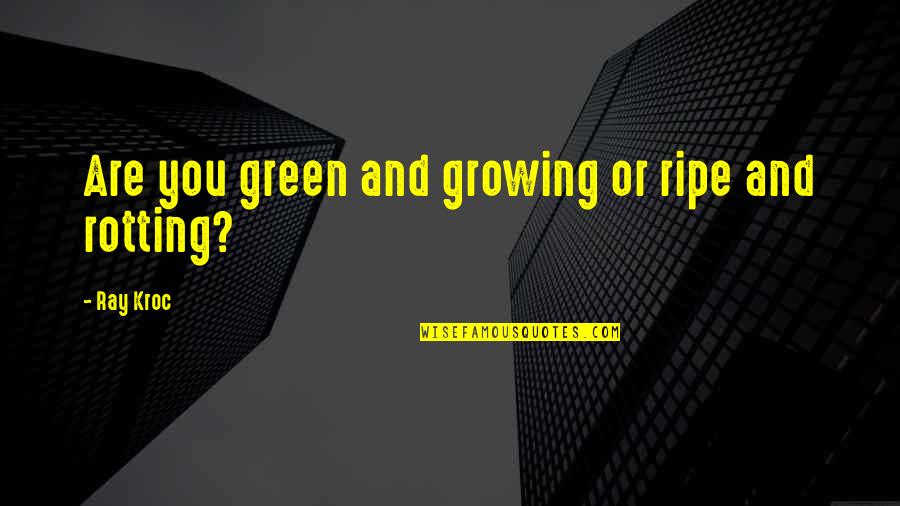 Monster In Laws Quotes By Ray Kroc: Are you green and growing or ripe and