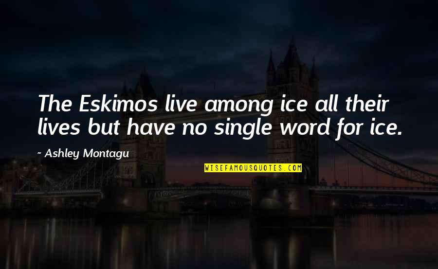 Montagu Quotes By Ashley Montagu: The Eskimos live among ice all their lives