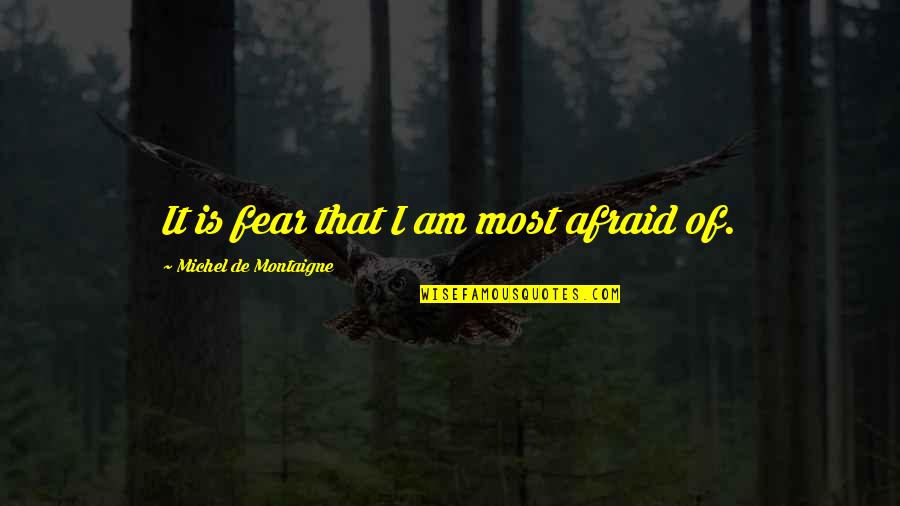 Montaigne Quotes By Michel De Montaigne: It is fear that I am most afraid