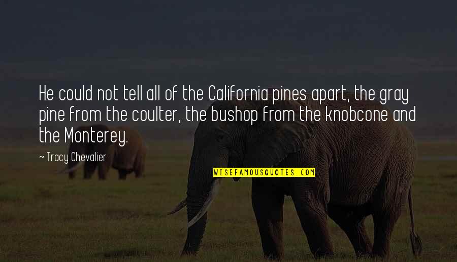 Monterey California Quotes By Tracy Chevalier: He could not tell all of the California
