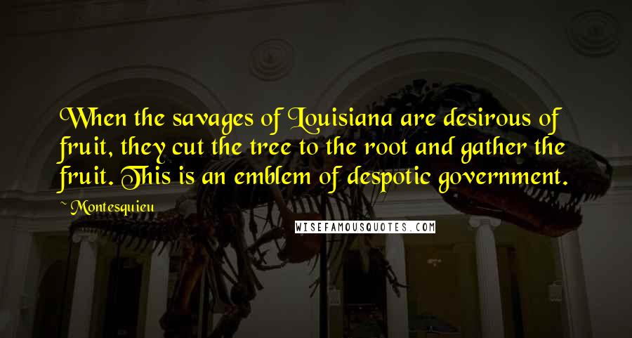 Montesquieu quotes: When the savages of Louisiana are desirous of fruit, they cut the tree to the root and gather the fruit. This is an emblem of despotic government.