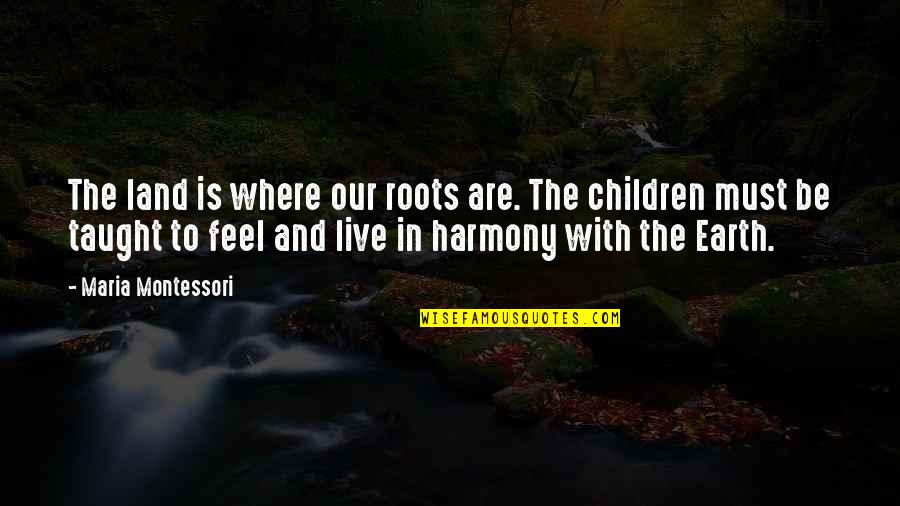 Montessori Quotes By Maria Montessori: The land is where our roots are. The