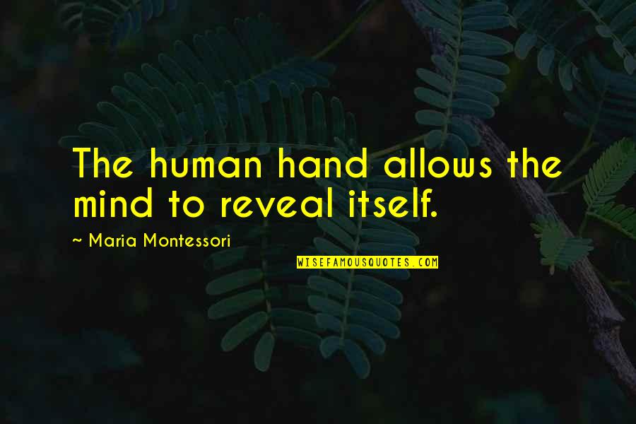 Montessori Quotes By Maria Montessori: The human hand allows the mind to reveal