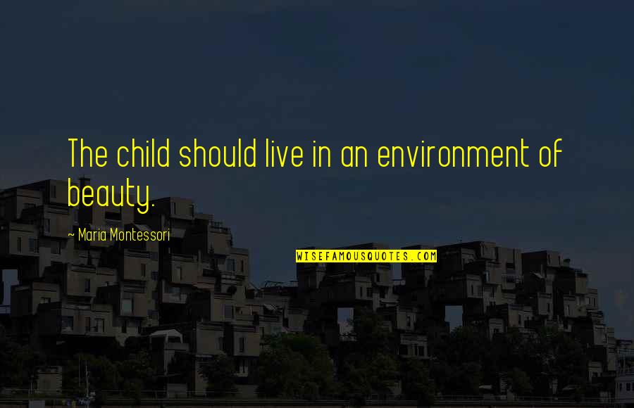 Montessori Quotes By Maria Montessori: The child should live in an environment of