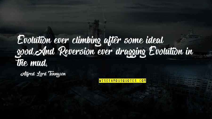 Monthly Inspirational Quotes By Alfred Lord Tennyson: Evolution ever climbing after some ideal good,And Reversion