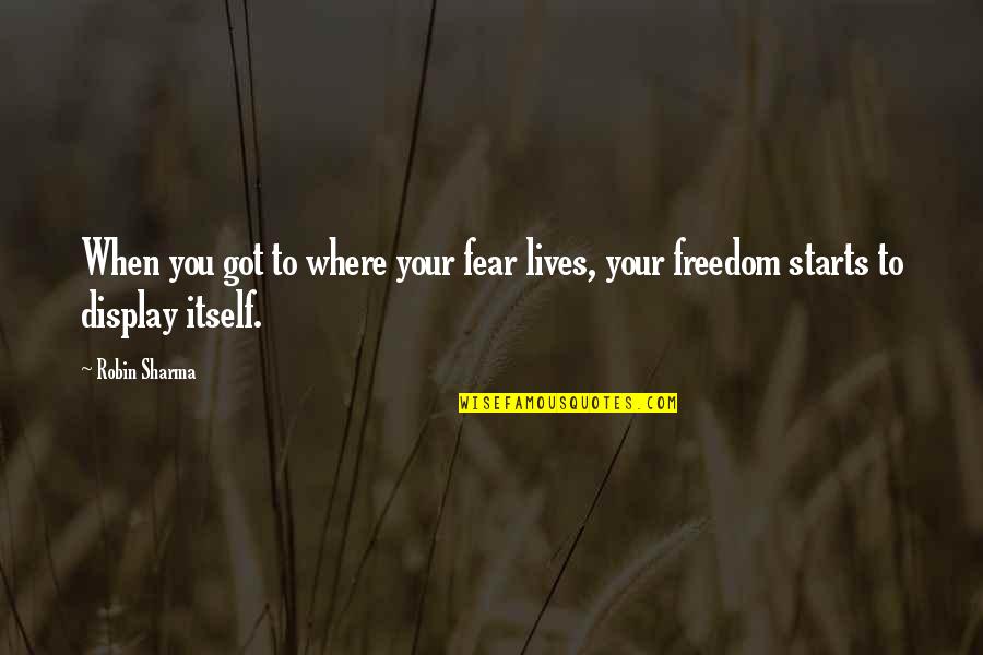Montones De Dolares Quotes By Robin Sharma: When you got to where your fear lives,