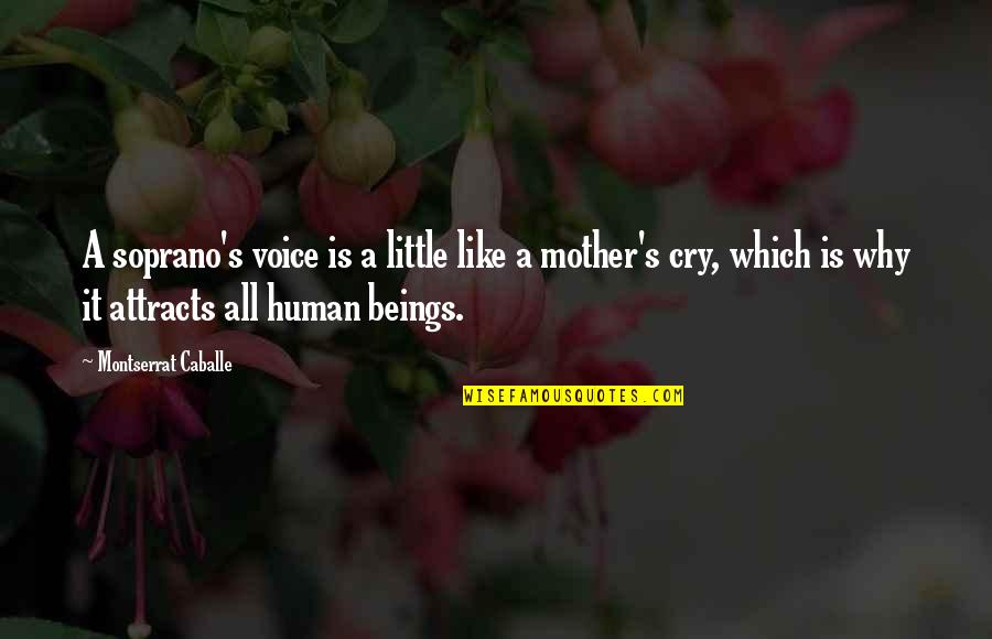 Montserrat Quotes By Montserrat Caballe: A soprano's voice is a little like a