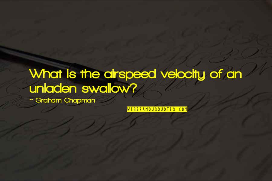 Monty Python Grail Quotes By Graham Chapman: What is the airspeed velocity of an unladen