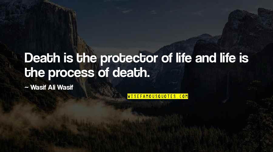 Monty Python Meaning Of Life Quotes By Wasif Ali Wasif: Death is the protector of life and life Monty Python Meaning Of Life Quotes By Wasif Ali Wasif: Death is the protector of life and life