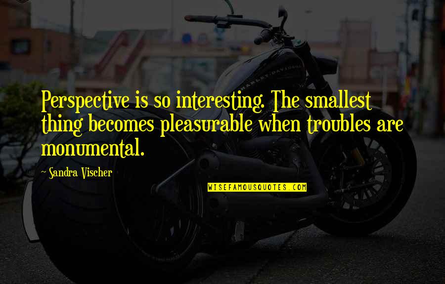 Monumental Quotes By Sandra Vischer: Perspective is so interesting. The smallest thing becomes