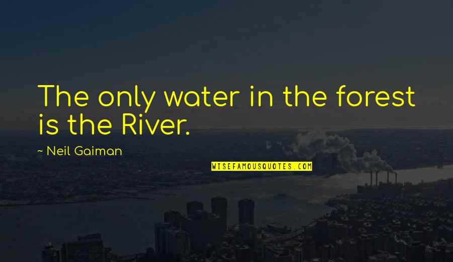 Moo Point Quotes By Neil Gaiman: The only water in the forest is the