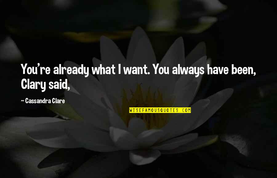 Mood Level Quotes By Cassandra Clare: You're already what I want. You always have
