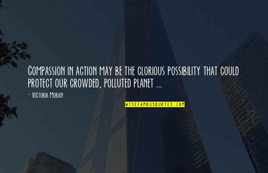 Mood Lighting Quotes By Victoria Moran: Compassion in action may be the glorious possibility Mood Lighting Quotes By Victoria Moran: Compassion in action may be the glorious possibility