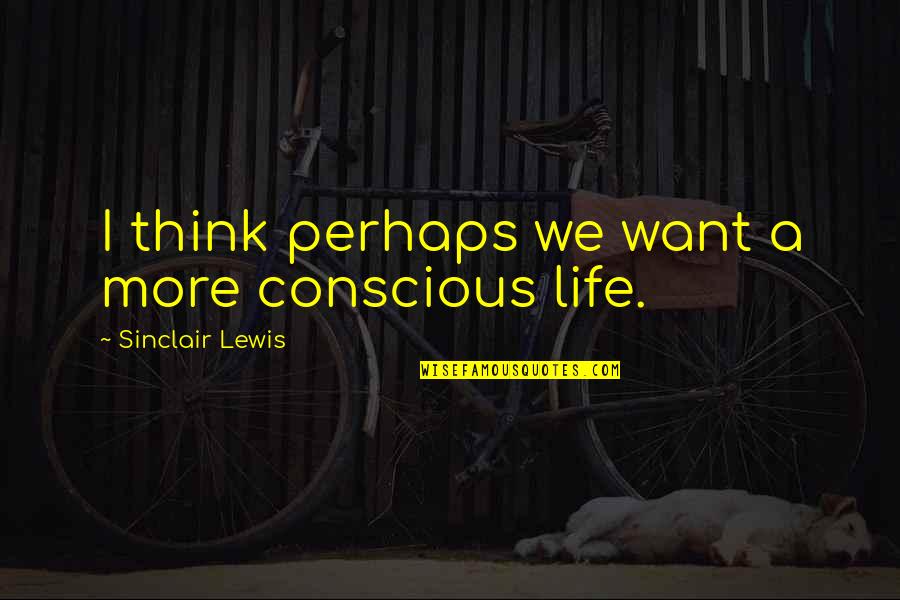 Mooiste Billen Quotes By Sinclair Lewis: I think perhaps we want a more conscious Mooiste Billen Quotes By Sinclair Lewis: I think perhaps we want a more conscious