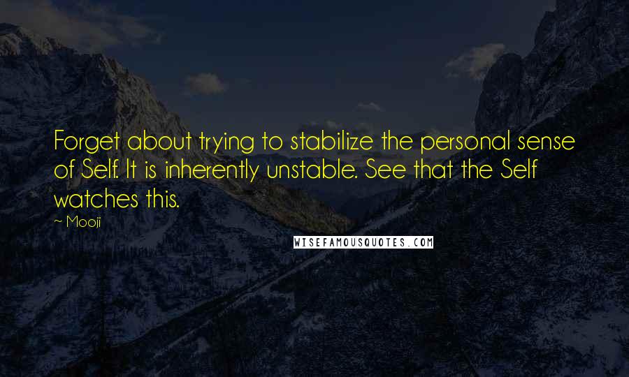 Mooji quotes: Forget about trying to stabilize the personal sense of Self. It is inherently unstable. See that the Self watches this.