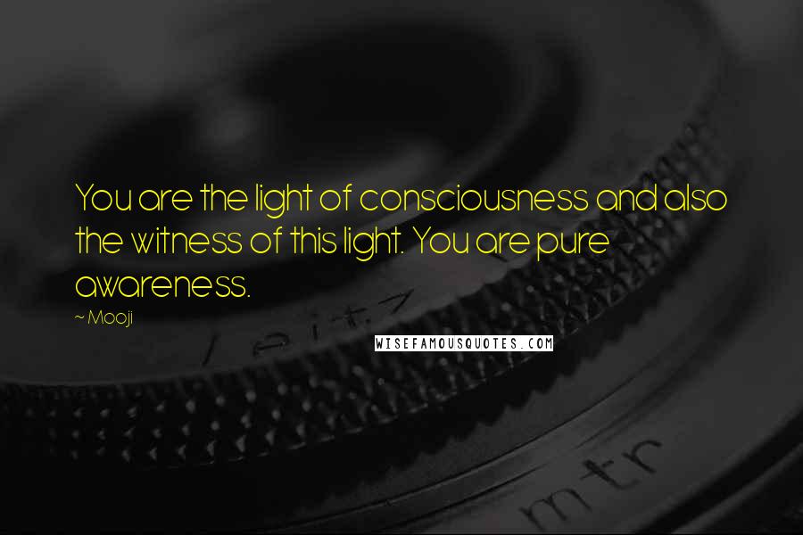 Mooji quotes: You are the light of consciousness and also the witness of this light. You are pure awareness.