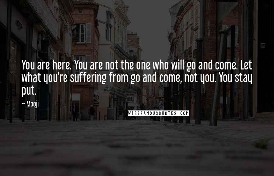 Mooji quotes: You are here. You are not the one who will go and come. Let what you're suffering from go and come, not you. You stay put.